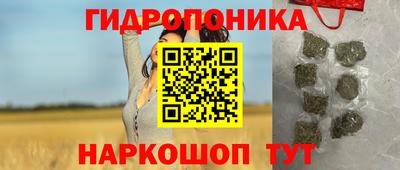 mdma Новозыбков
