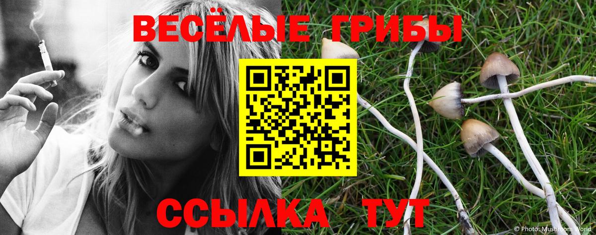 Псилоцибиновые грибы Psilocybine cubensis  Вход с VPN  Туймазы 