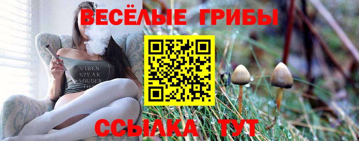 Псилоцибиновые грибы Cubensis Туймазы